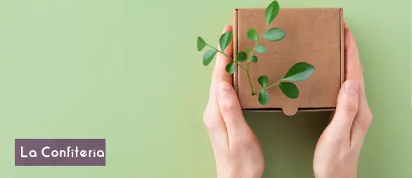 Top mejores regalos ecológicos para tus empleados Persona tomando entre sus manos una caja ecológica