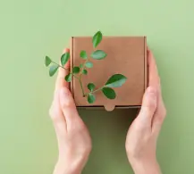 Persona tomando entre sus manos una caja ecológica