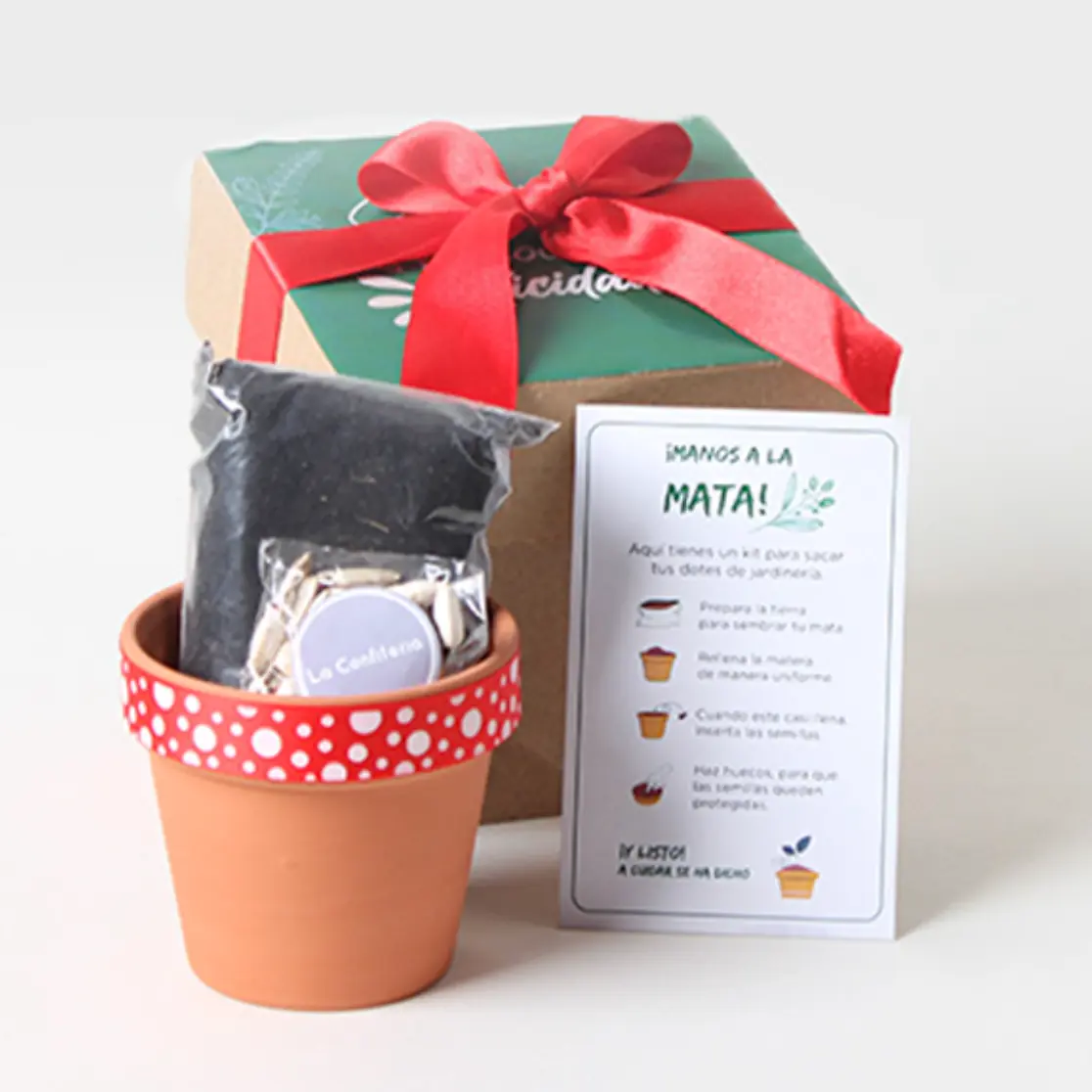 Kits de siembra para experiencias sostenibles