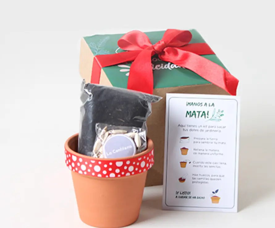  Kit de siembra