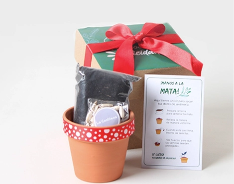 Kit Siembra regalo empresarial para nuevos comienzos y crecimiento profesional